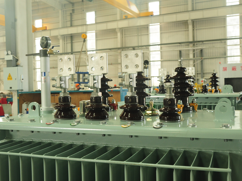 六盘水S13-500KVA油浸式变压器价格